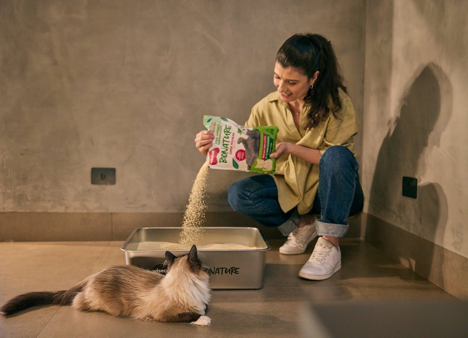 Uma areia que também ajuda você a observar a rotina do seu gato