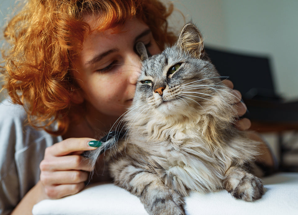 Uma marca feita para a rotina real de quem tem pet